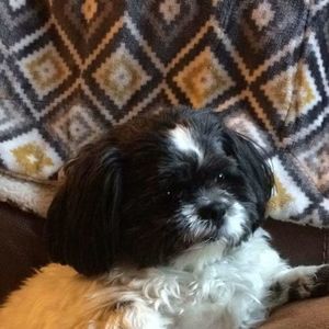 Meet your Posher, Deborah